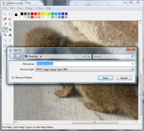 convert bmp to jpg